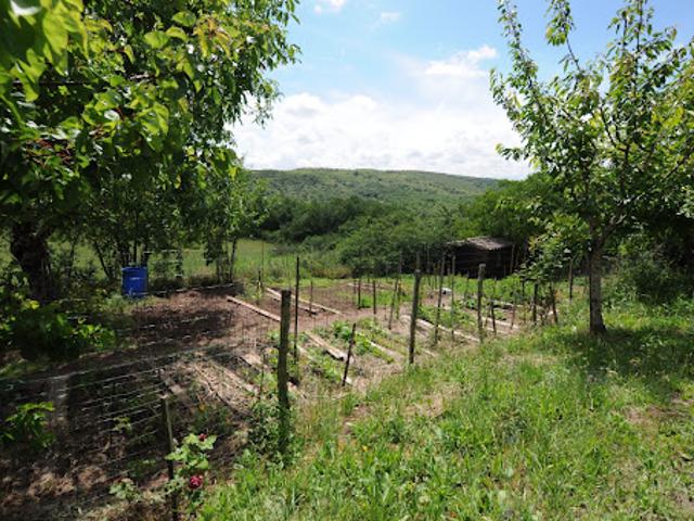 Vente Maison 11 pièces 265 m2 Vaour