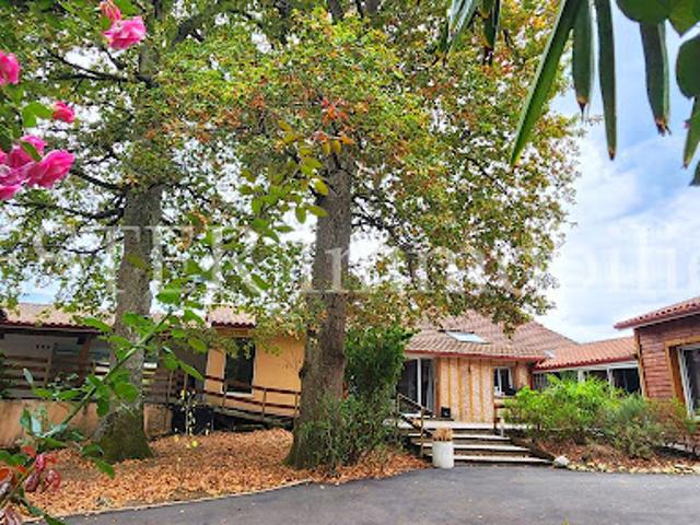 Vente Maison 11 pièces 265 m2 Echourgnac