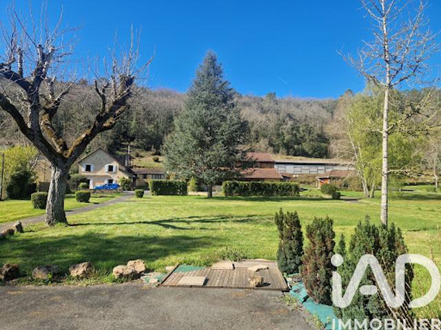 Vente Maison 11 pièces 271 m2 Vitrac