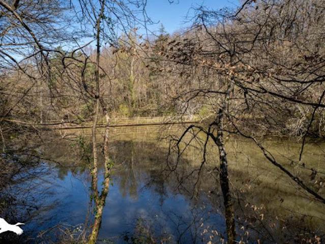 Vente Maison 11 pièces 277 m2 Moulayrès