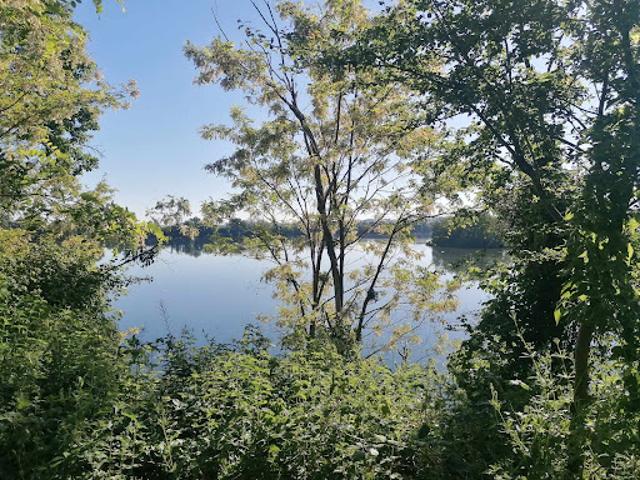 Vente Maison 11 pièces 286 m2 Salles sur Garonne