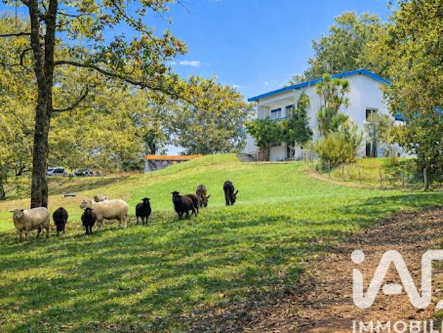 Vente Maison 11 pièces 290 m2 Urcuit
