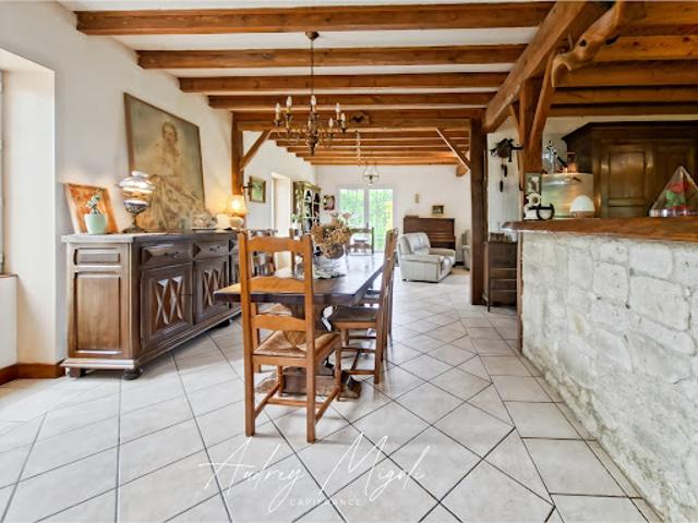Vente Maison 11 pièces 225 m2 Monclar