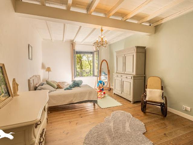 Vente Maison 11 pièces 374 m2 Roquecourbe