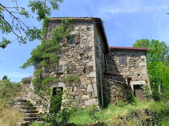 Vente Maison 11 pièces 315 m2 Vic le Comte