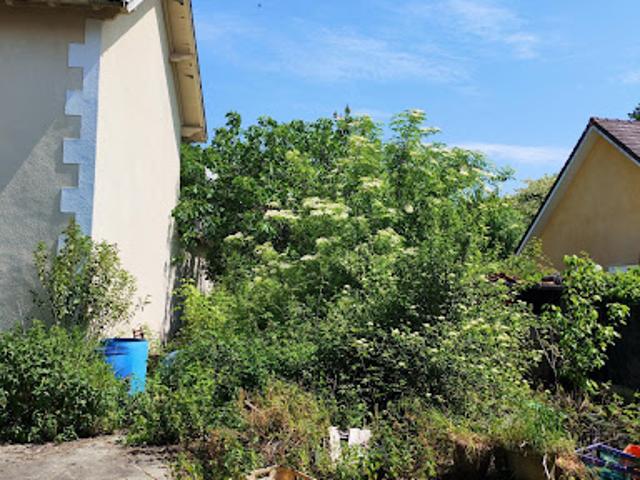 Vente Maison 11 pièces 323 m2 Mont