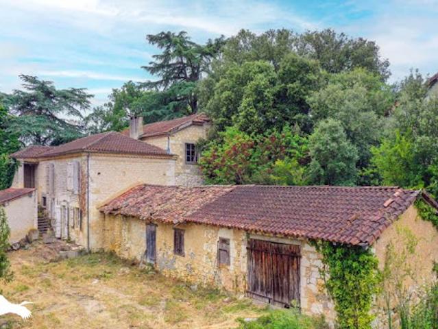 Vente Maison 11 pièces 321 m2 Bonas