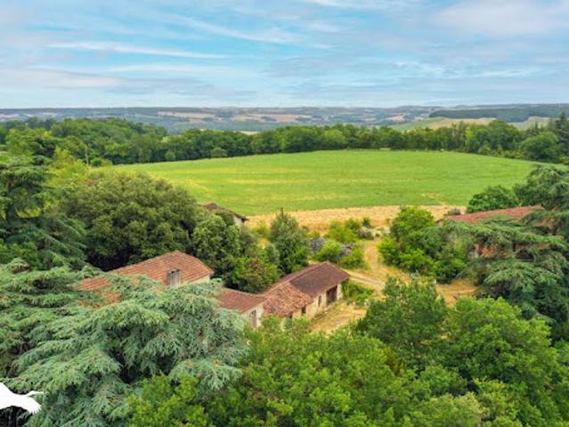 Vente Maison 11 pièces 321 m2 Bonas