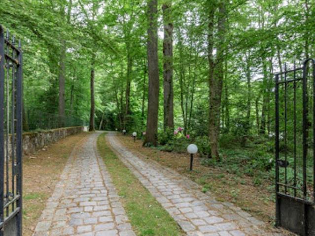 Vente Propriété 11 pièces 424 m2 Chessy