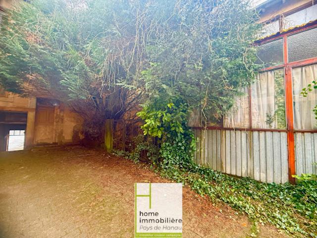 Vente Maison 11 pièces 500 m2 Bouxwiller