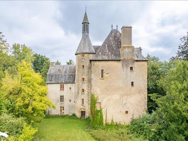 Vente Maison 11 pièces 600 m2 Briantes