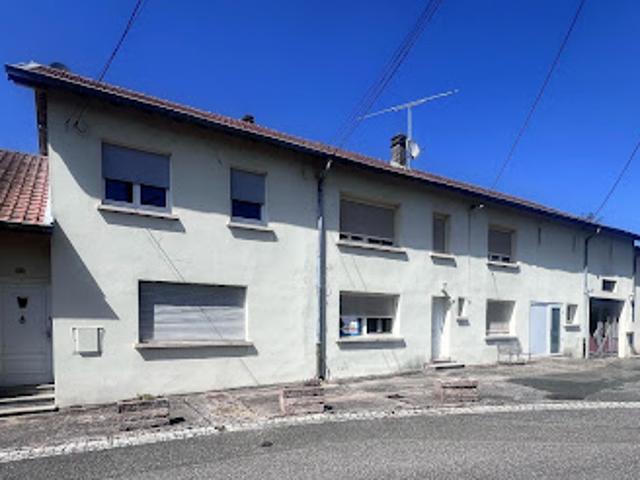 Vente Maison 11 pièces 700 m2 Insming