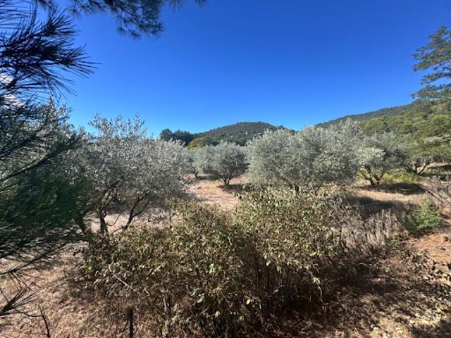 Vente Maison 120 m2 Manosque
