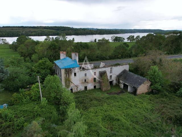 Vente maison 12 pièces La Ménitré 49