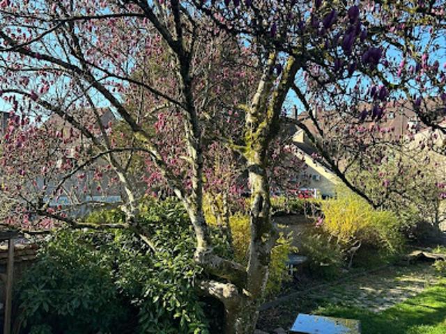 Vente Maison 12 pièces 269 m2 Lure