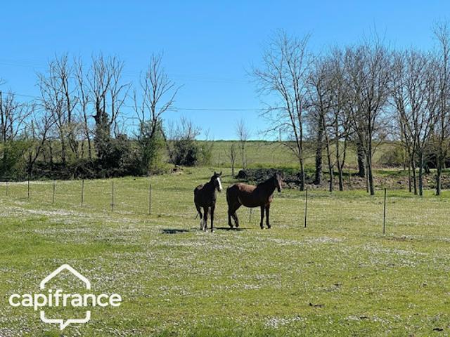 Vente Maison 12 pièces 291 m2 Taize