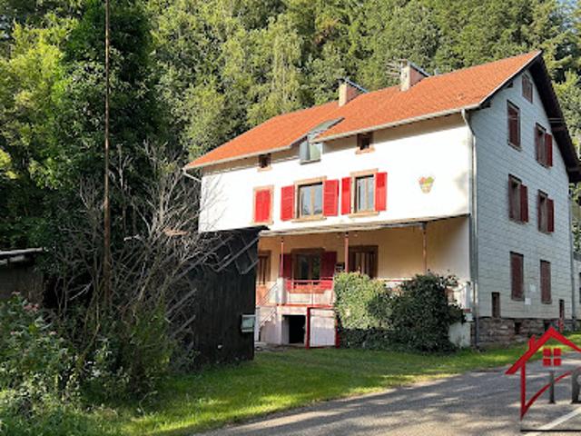 Vente Maison 12 pièces 292 m2 La Petite Pierre