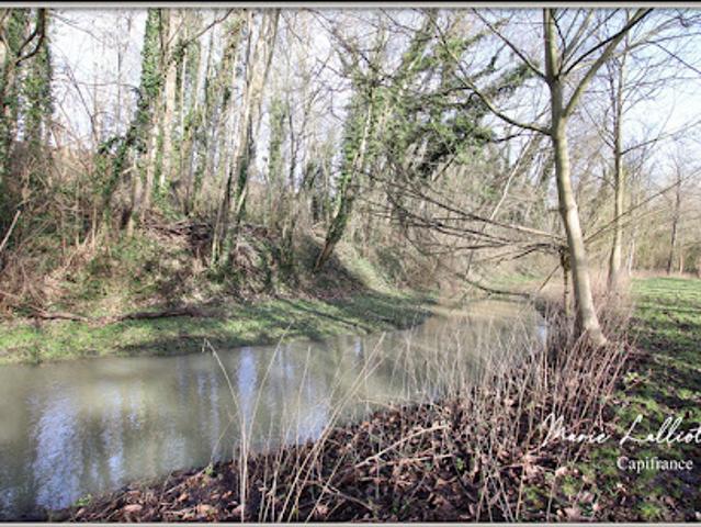 Vente Maison 12 pièces 343 m2 Pithiviers le Vieil
