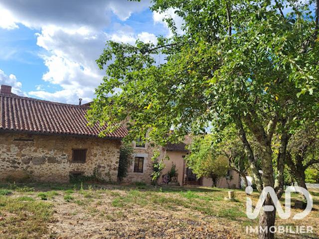 Vente Maison 12 pièces 381 m2 Aixe sur Vienne