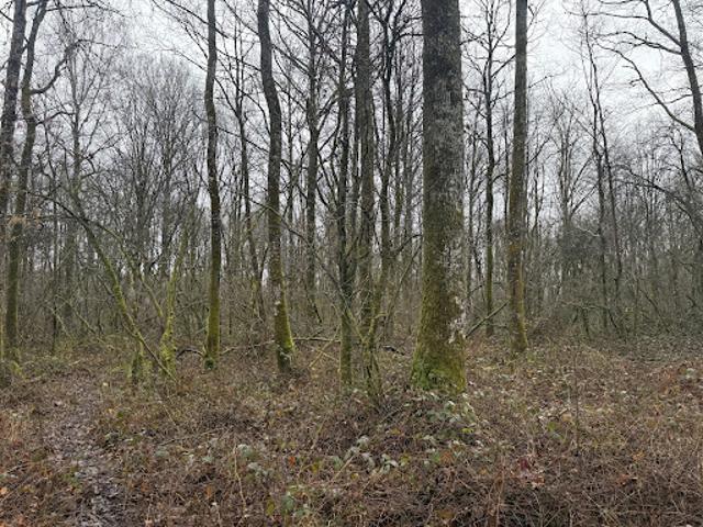 Vente Maison 12 pièces 300 m2 Les Ecrennes
