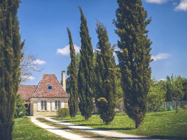 Vente Maison 12 pièces 309 m2 Bergerac