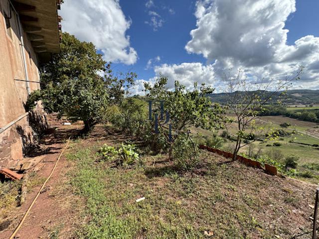 Vente Maison 12 pièces 310 m2 Saint Affrique