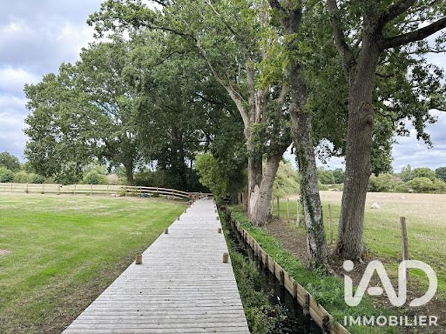 Vente Maison 12 pièces 314 m2 Saint Léger sur Sarthe
