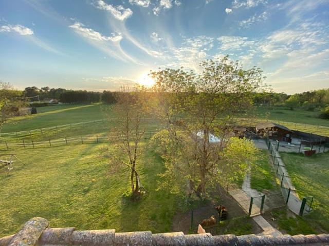 Vente Maison 12 pièces 455 m2 Saint Christoly de Blaye