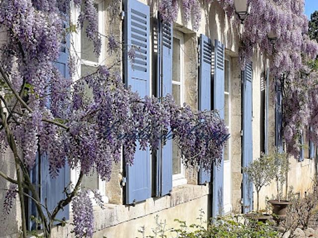 Vente Maison 12 pièces 490 m2 Orleans