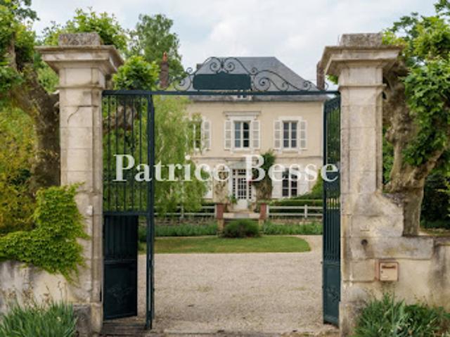 Vente Maison 12 pièces 500 m2 Toucy