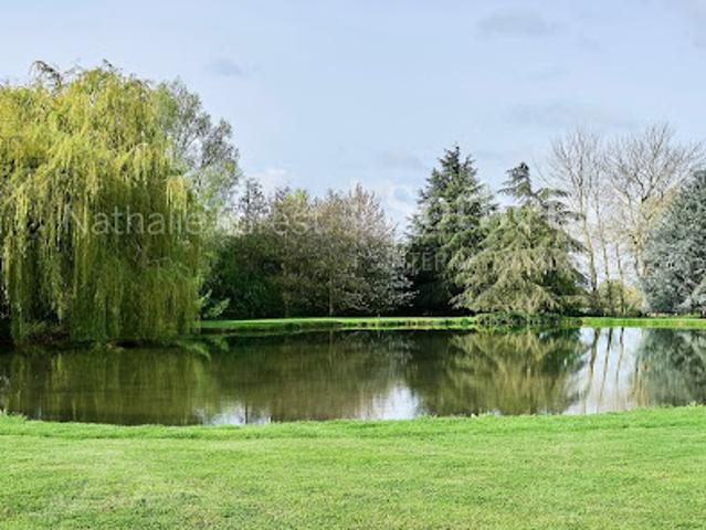 Vente Maison 13 pièces 240 m2 Steenwerck