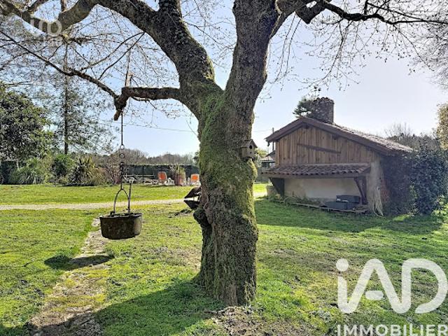 Vente Maison 13 pièces 271 m2 Magescq