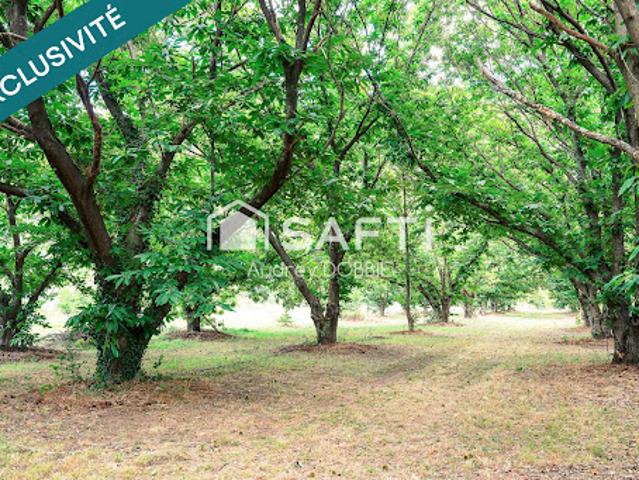 Vente Maison 13 pièces 210 m2 Les Vans