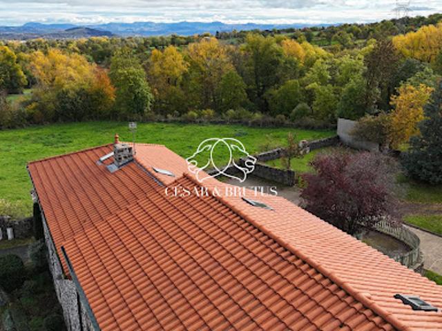 Vente Maison 13 pièces 343 m2 Sanssac l'Eglise