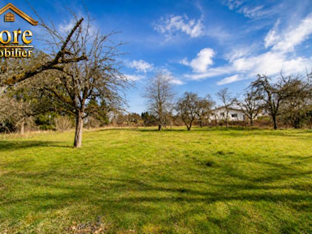 Vente Maison 13 pièces 350 m2 Saint die des vosges