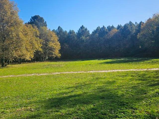 Vente Maison 13 pièces 359 m2 Preignac