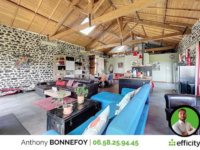 Vente Maison 13 pièces 367 m2 Alleyrac