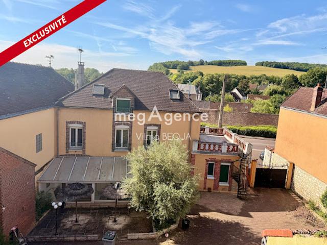 Vente Maison 13 pièces 306 m2 Paron