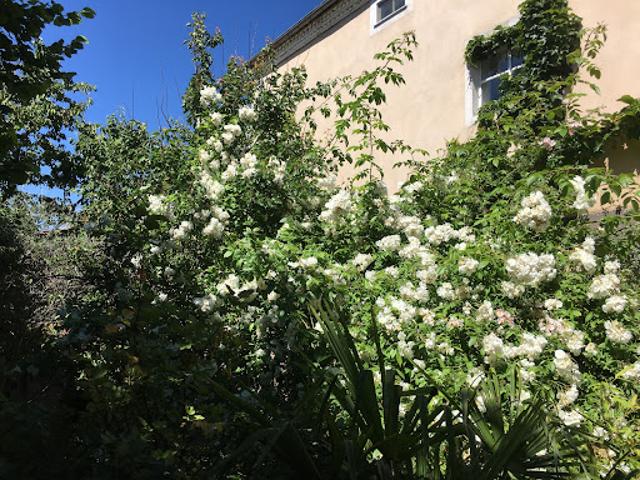 Vente Maison 13 pièces 310 m2 Le Crest