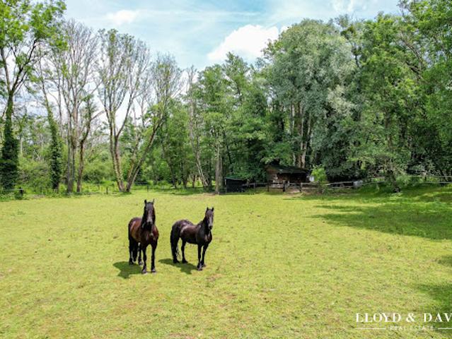 Vente Maison 13 pièces 310 m2 Saint Maurice Montcouronne