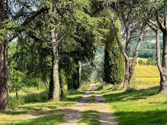 Vente Maison 13 pièces 490 m2 Castéra Verduzan