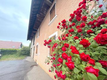 Vente Maison 10 pièces 179 m2 Poisy