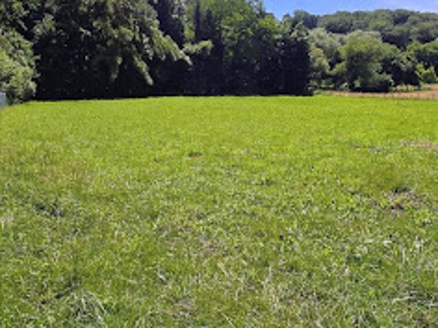 Vente Maison 14 pièces 250 m2 Dalem