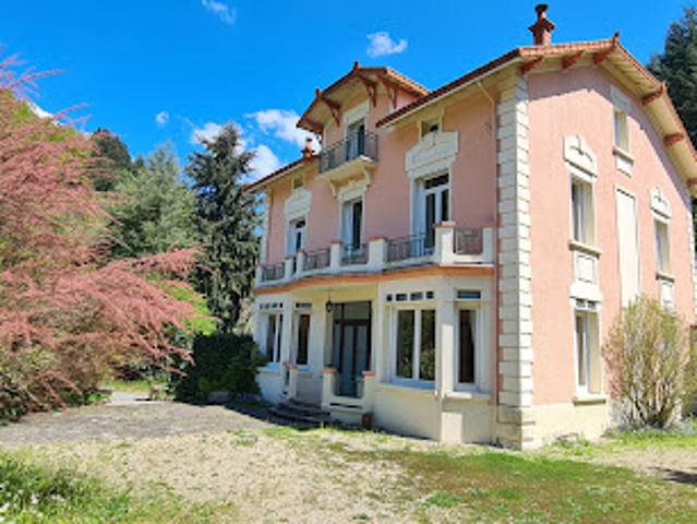 Vente Maison 14 pièces 299.32 m2 Mariac