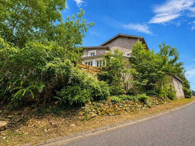Vente Maison 14 pièces 385 m2 Villeneuve Lécussan