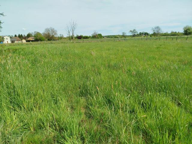 Vente Maison 150 m2 Esboz Brest