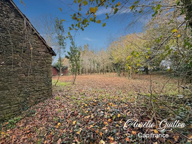 Vente Maison 15 pièces 250 m2 Buléon