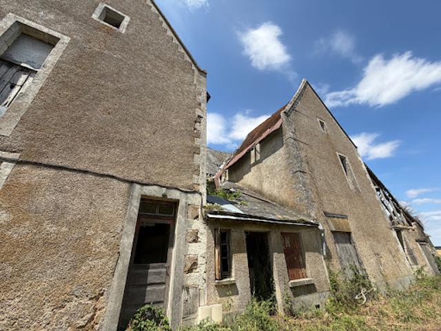 Vente Maison 15 pièces 340 m2 Crucheray
