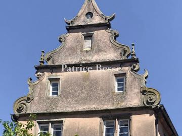 Vente Maison 15 pièces 300 m2 Strasbourg