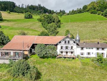 Vente Maison 15 pièces 450 m2 Saint die des vosges